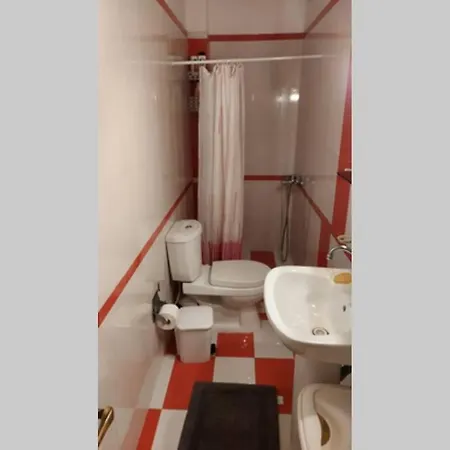 δεσποτικό στο άλσος δραμεσίου Apartment Paralia Avlidhos